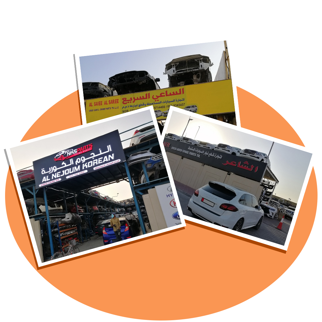 Second feature alt text